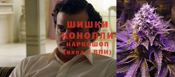 стаф Новодвинск