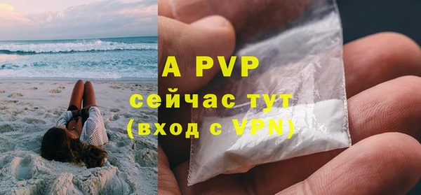 ECSTASY Пролетарск