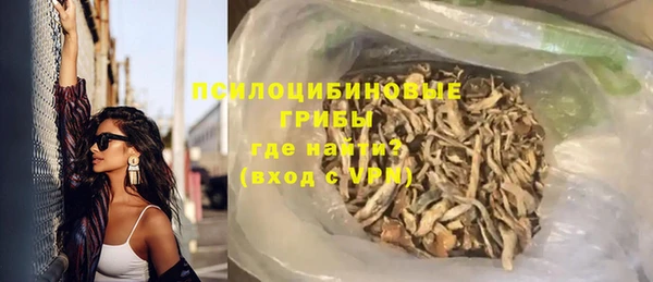 стаф Новодвинск