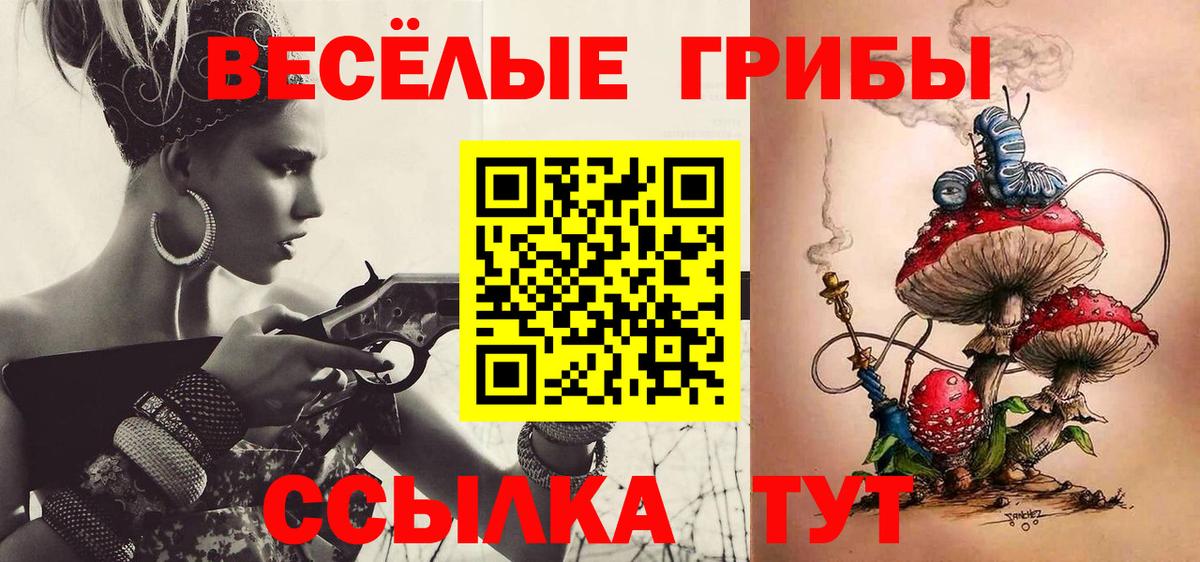 Псилоцибиновые грибы мухоморы Анжеро-Судженск