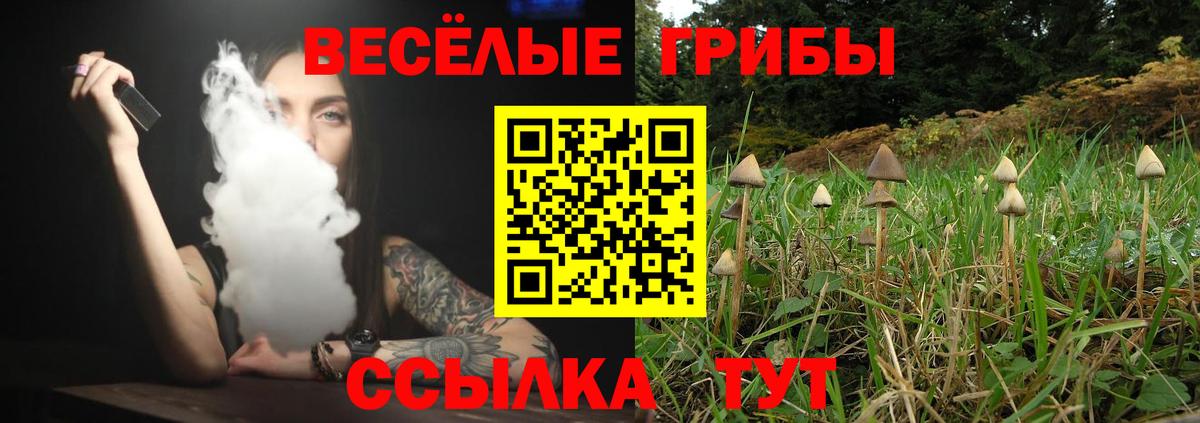 Галлюциногенные грибы Psilocybine cubensis  купить наркотики сайты  Анжеро-Судженск  Вход с VPN 